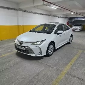 Toyota Corolla 2023