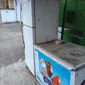 ugur marazilka we domasny holo