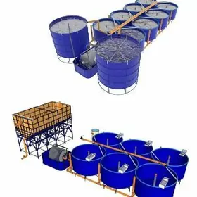 балык ферма