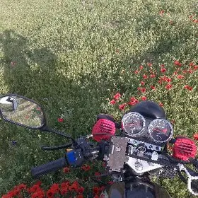 Fekon FK200-14G 2026