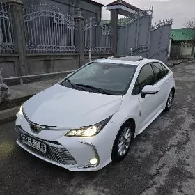 Toyota Corolla 2020