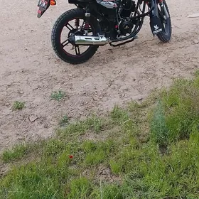 Fekon FK200-14G 2026