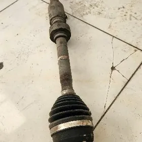 Gyranat humday elantyta