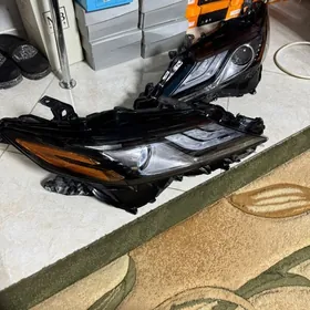 Fara Orginal Morda Amerikanka