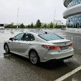 Toyota Camry 2020