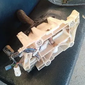 SOKR RCAK SAMSYK KEMİRİ