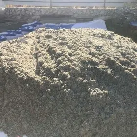 Öküz Sygyr Düýe jüýje soýa