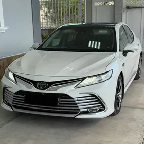 Toyota Camry 2019