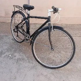 27. lik YAPONKA welik