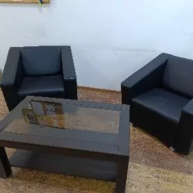 ofis salon magazin üçin