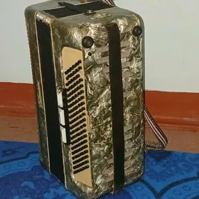 Akordeon.weltmeýeter