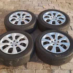 disga pakrişga 16lyk karolla