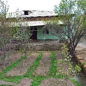 satlyk Jay eyesinden