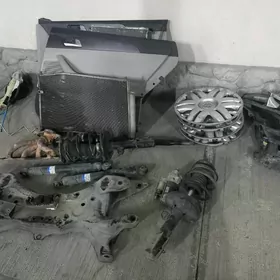 karollan zapcastlary