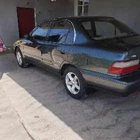 Toyota Corolla 1995