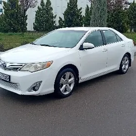 Toyota Camry 2014