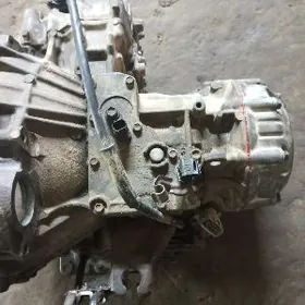 3 lik utuk avalon karopga