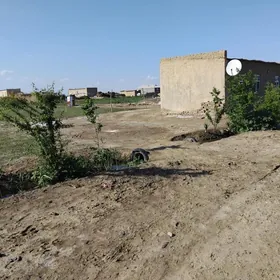 Mari velayat wekil bazar etira