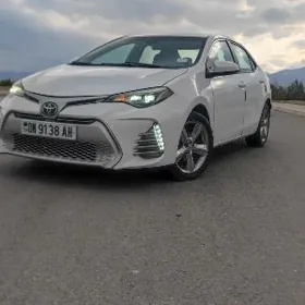 Toyota Corolla 2019