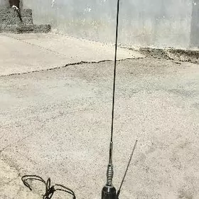 anten bagaźa goyulyan