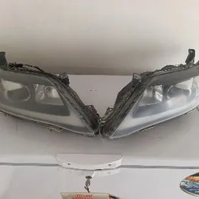 Camry Okuz kelle Fara