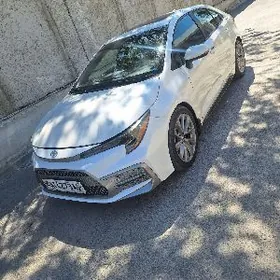 Toyota Corolla 2020
