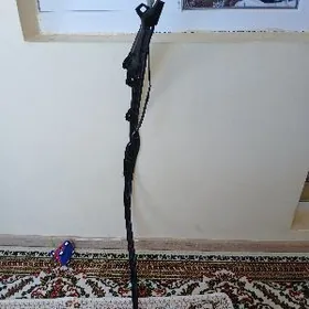 Sienna bagajda otyryan