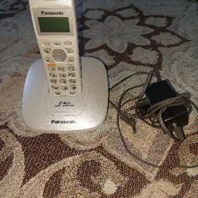 дамашни тел