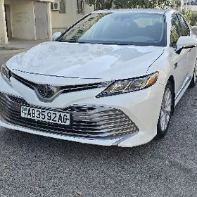 Toyota Camry 2020