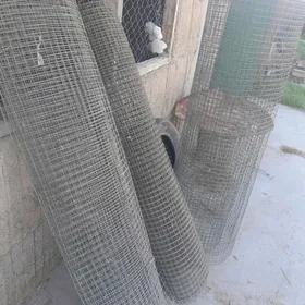 GUŞ  ÝATAGA  SETGA