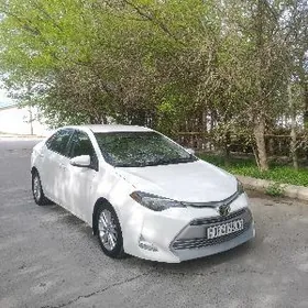 Toyota Corolla 2019