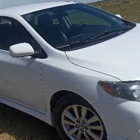 Toyota Corolla 2010