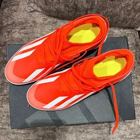 сороконожки