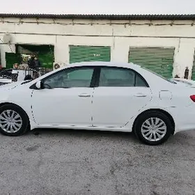 Toyota Corolla 2013