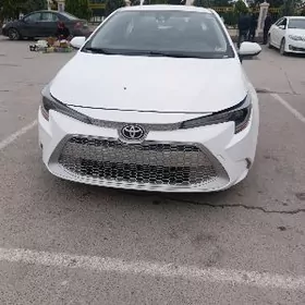 Toyota Corolla 2021