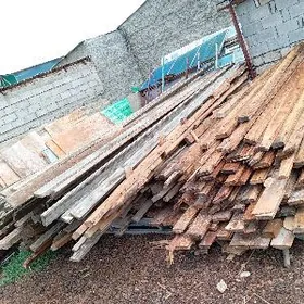 agac tagta polluk purs satlyk