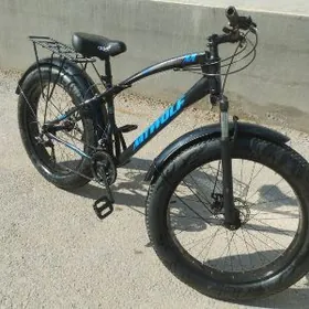 TIGIR 26LIK LOKA TEKER