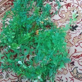 грунт и декор