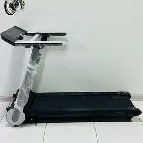 TIGIR SAMAKAT BEGAWOY KACELYA