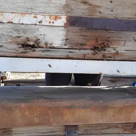 Bal ary ýagdaýy gowy