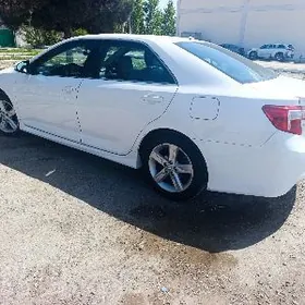 Toyota Camry 2014