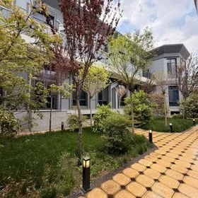 Anew Ahal koche 12 Sotuk kotej