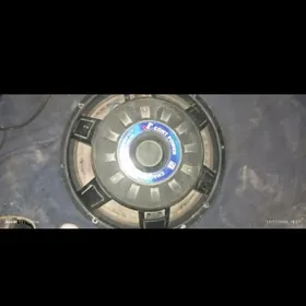 nisgi kalonka celenjer 15 pysa