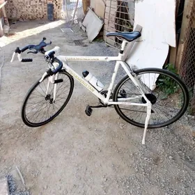 спартивни алюмины́ви