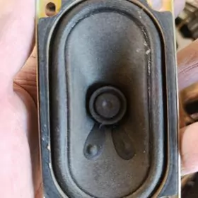 telewizor kalonkalar