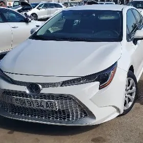 Toyota Corolla 2021