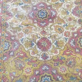 Haly Russia.1.30/1.90