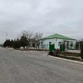 Täze eýýam elitni plan