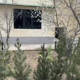 gaty srocna 30 mkrn 3kom jay