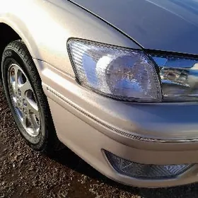 PAWAROTNIK KAMRY BABOCKA